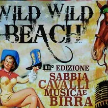 Wild Wild beach - Cavalli sulla spiaggia